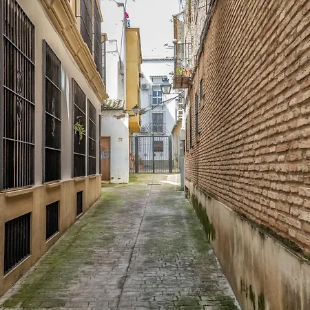 Appartement Andalusi & Centre & Parking Incluido Cordoue